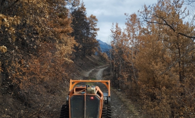 Débroussaillage en zone incendiée, Embrun, Pierre Bois & Jardins